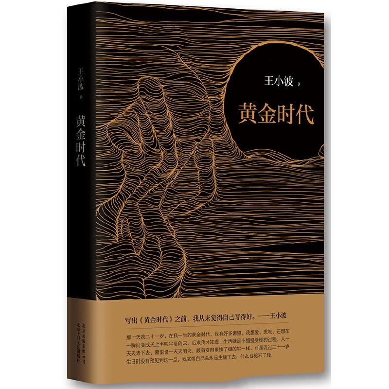 王小波全集第6卷：黄金时代