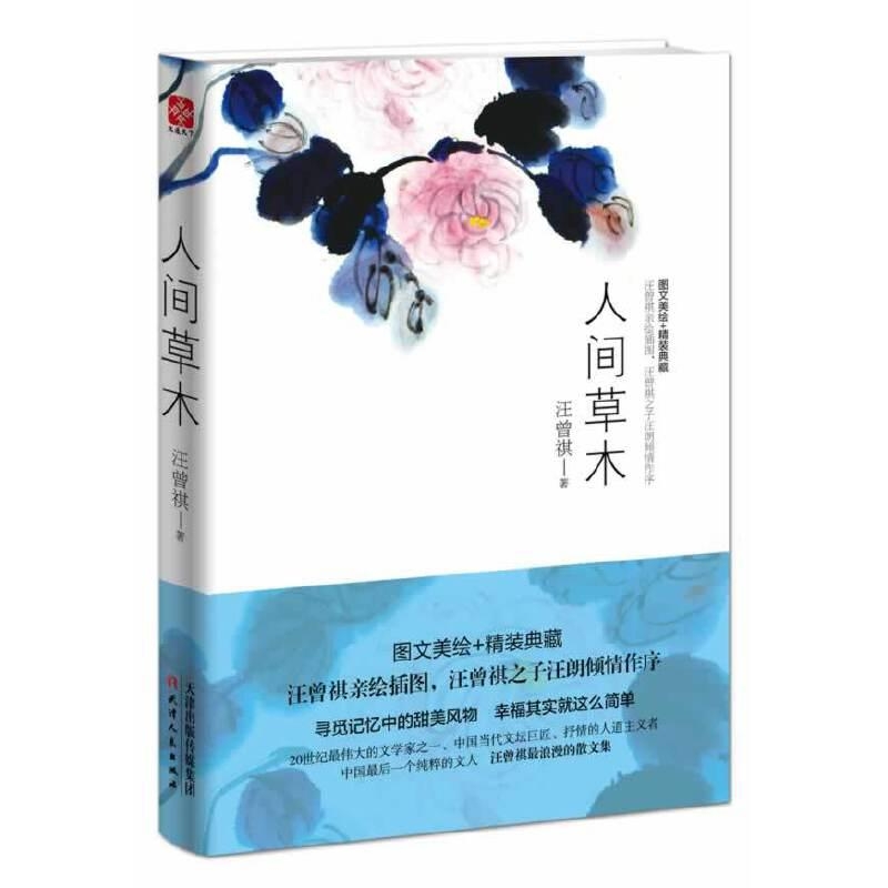 人间草木-汪曾祺