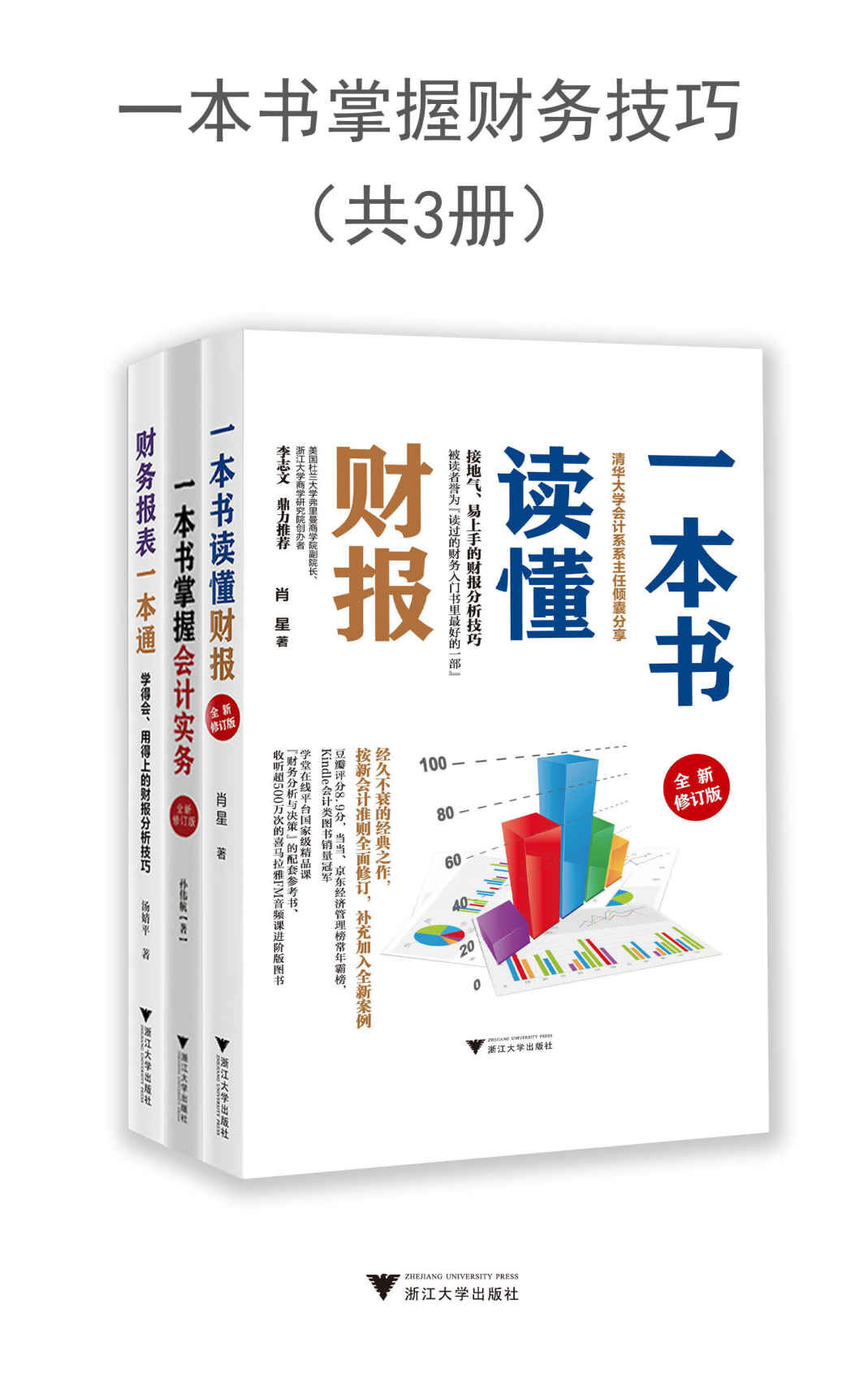 一本书掌握财务技巧（3册）