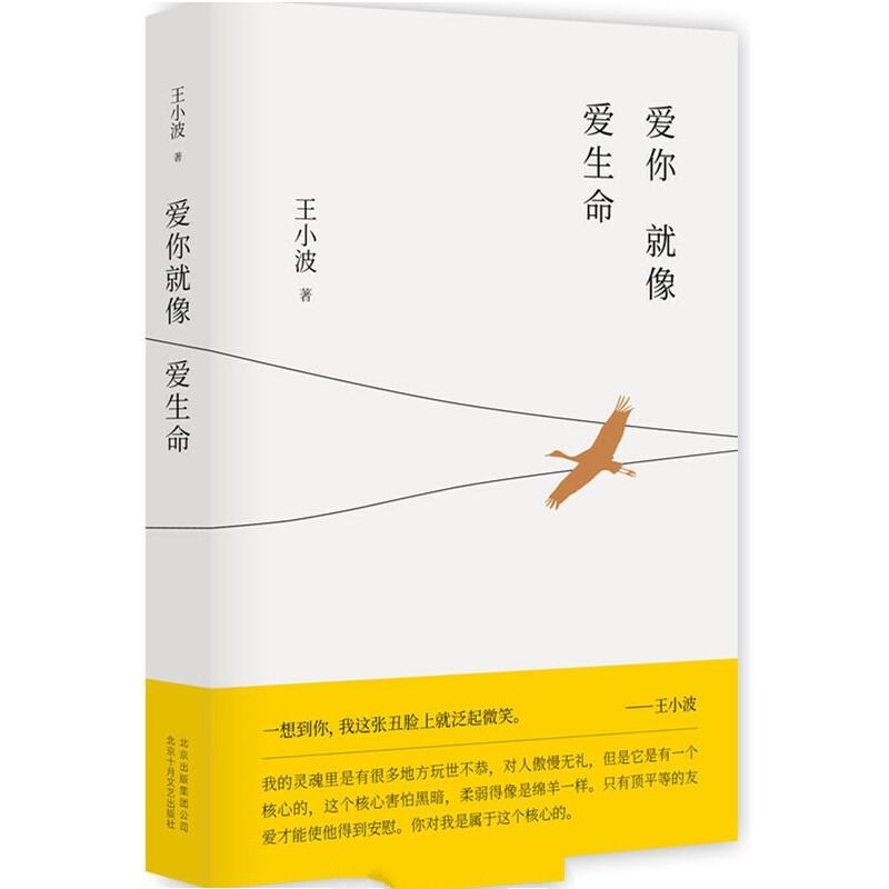 王小波全集第9卷：爱你就像爱生命
