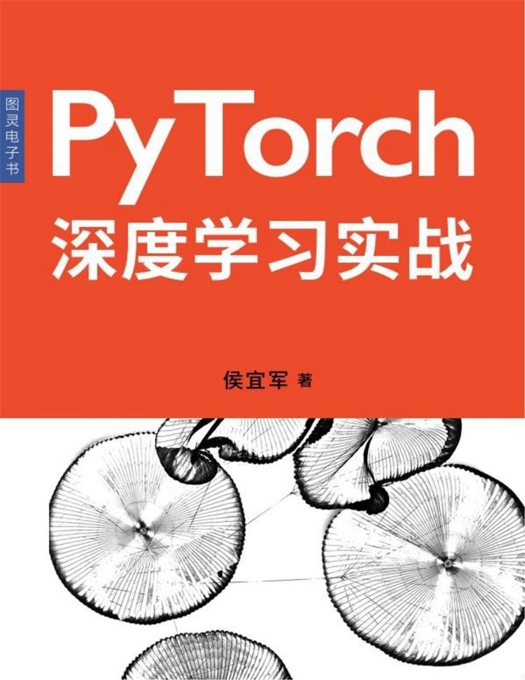 PyTorch深度学习实战