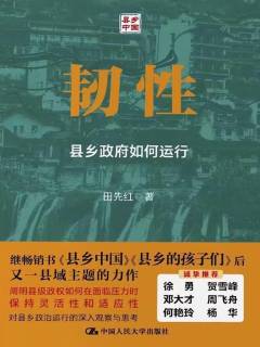 韧性 : 县乡政府如何运行