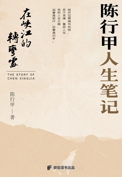 在峡江的转弯处：陈行甲人生笔记