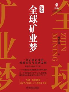 紫金全球矿业梦 : 一家矿业企业的创新迭代与滚动发展