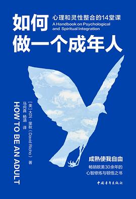 如何做一个成年人 : 心理和灵性整合的14堂课