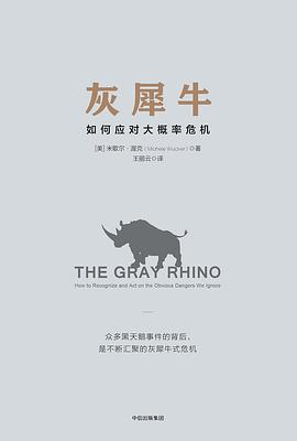 灰犀牛：如何应对大概率危机