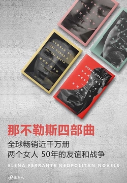 那不勒斯四部曲：我的天才女友、新名字的故事、离开的，留下、失踪的孩子
