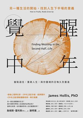覺醒中年 : 另一種生活的開始，找到人生下半場的意義