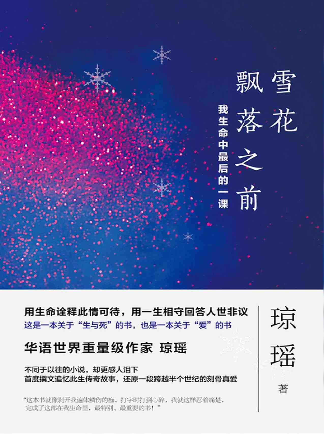雪花飘落之前:我生命中最后的一课