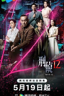 刑侦12 (2025)