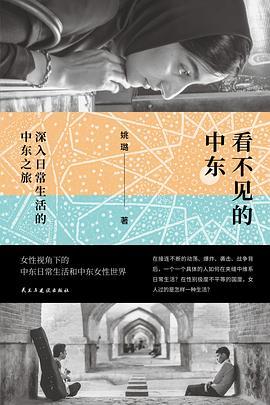 看不见的中东 : 深入日常生活的中东之旅