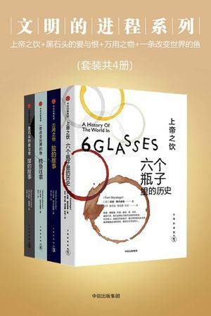 文明的进程系列（套装共4册）