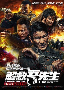 解救吾先生 (2015)