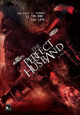 完美丈夫 The Perfect Husband